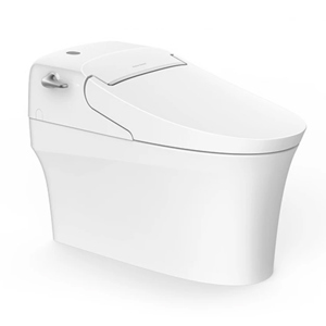 Bồn cầu American Standard WP-5017, nắp rửa điện tử