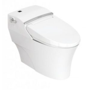 Bồn cầu American Standard WP-5017, nắp rửa điện tử