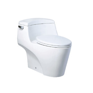 Bồn cầu Caesar C1353