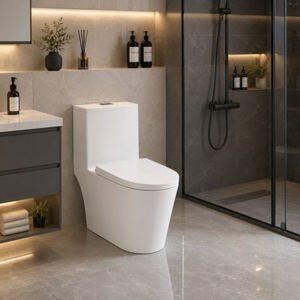 Bồn cầu cao cấp xả xoáy sạch nhanh Teady LK2770
