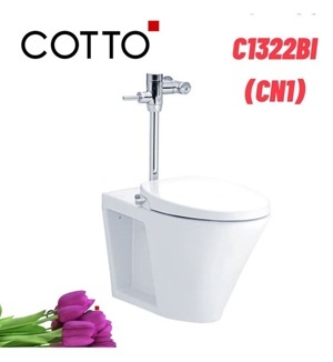 Bồn cầu Cotto C1322BI