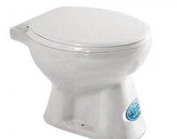Bồn cầu cụt sứ Thái Bình C01