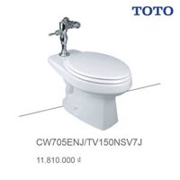 Bồn cầu cụt Toto CW705EJ