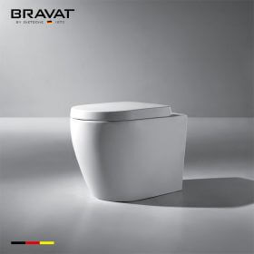 Bồn cầu đặt sàn Bravat C01011W-ENG