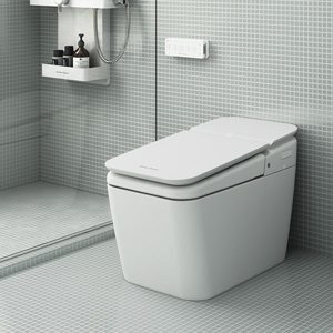 Bồn cầu điện tử American KP-8310