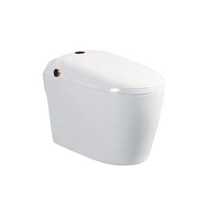 Bồn cầu điện tử D&K DK AC1229