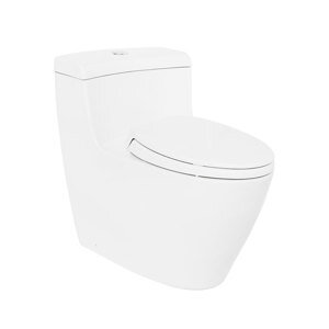Bồn cầu điện tử TOTO MS636DT2#XW