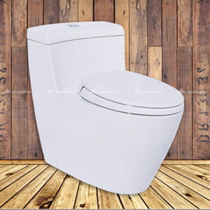 Bồn cầu điện tử TOTO MS636DT2#XW