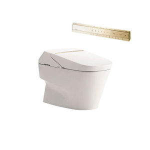 Bồn cầu điện tử TOTO NEOREST CW993VA#NW1/TCF993WA#NW1/T53P100VR