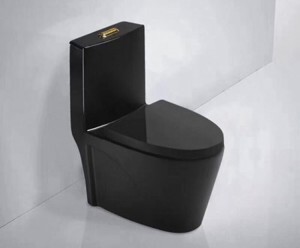 Bồn cầu Forlard T01