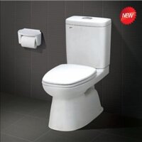 Bồn cầu hai khối Inax C-808VN (Nắp êm)