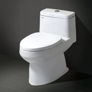Bồn cầu Inax 1 khối AC-939VN