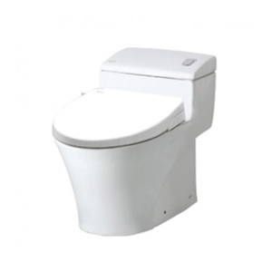 Bồn cầu Inax AC-1008R+CW-S15VN (Nắp shower toilet)