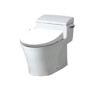 Bồn cầu Inax AC-1017R+CW-S15VN (Nắp shower toilet)