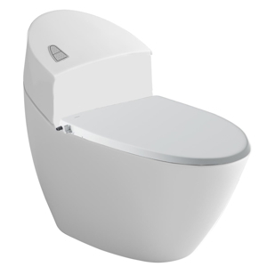 Bồn cầu Inax AC-2700+CW-S15VN (Nắp shower toilet)