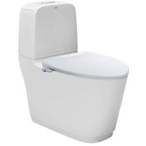 Bồn cầu Inax nắp rửa cơ AC-832/CW-S32VN