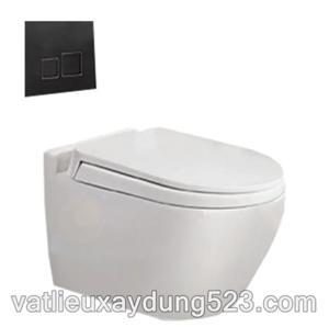 Bồn cầu két âm tường Viglacera V51KA