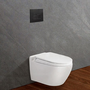Bồn cầu két âm tường Viglacera V51KA