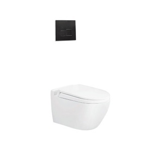 Bồn cầu két âm tường Viglacera V51KA