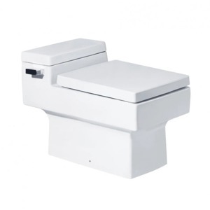 Bồn cầu Cotto C10317 - 1 khối