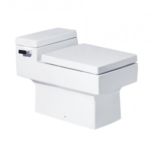 Bồn cầu Cotto C10317 - 1 khối