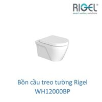 Bồn cầu két nước âm, bồn cầu treo tường RIGEL [Hàng dư công trình còn ít, thanh lý giá tốt]