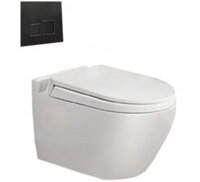 Bồn cầu két nước âm tường Viglacera V51KA - Hàng chính hãng