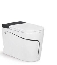 Bồn Cầu Không Két Nước DUSSEL DS-R580E