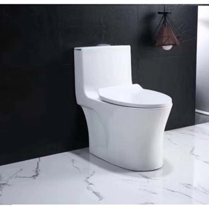 Bồn cầu Kobesi R803