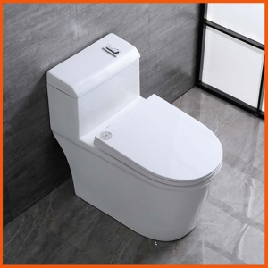 Bồn cầu Krasic K-8009