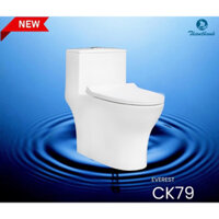 bồn cầu liền khối thiên thanh bồn cầu 1 khối thiên thanh everest ck79