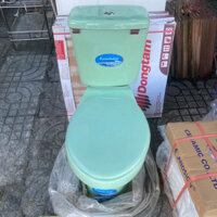 bồn cầu màu xanh ngọc chỉ giao HCM hoả tốc