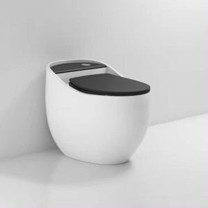 Bồn cầu Mchenler MC-21RW