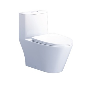 Bồn cầu một khối Caesar CD1363