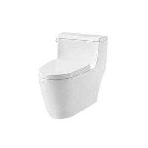 Bồn cầu một khối Hafele ICONIC 588.79.401