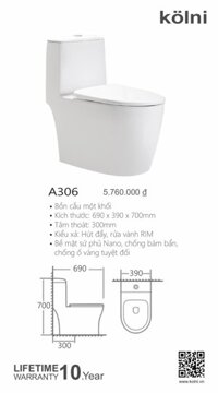 Bồn cầu một khối Kolni A306