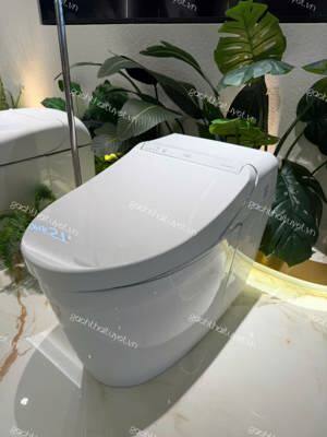 Bồn cầu một khối Toto CS988VT