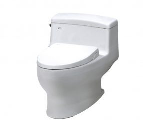 Bồn cầu nắp rửa cơ Inax GC-4005+CW-S15VN