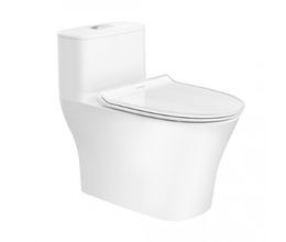 Bồn cầu nắp rửa điện tử American Standard WP-1880PR