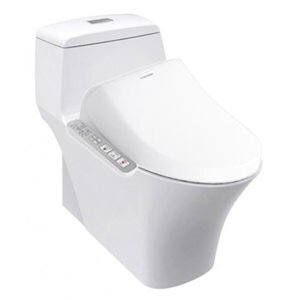 Bồn cầu nắp rửa điện tử American Standard WP-2009PL