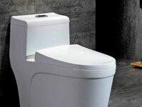Bồn cầu nguyên 1 khối cao cấp giá rẻ giá từ 500k, đến dưới 1 triệu, 2 triệu 3 triệu tại Quận 5, Tphcm