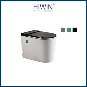 Bồn cầu nguyên khối Hiwin MT-6040