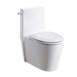 Bồn cầu Royal RWC506 - 1 khối
