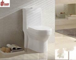 Bồn cầu Teady LK8315