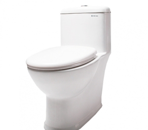 Bồn cầu Thiên Thanh Sky - 1 khối