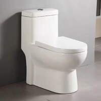 Bồn cầu thoát ngang 1 khối AC-969VN