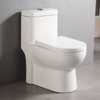 Bồn cầu thoát ngang 1 khối AC-969VN