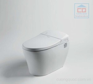 Bồn cầu thông minh Bravat C21182W-3A-VP