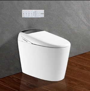 Bồn cầu thông minh Viglacera V-Smart V97.WB