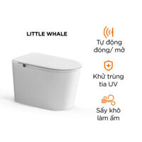 Bồn cầu thông minh Xiaomi Little Whale Wash M9